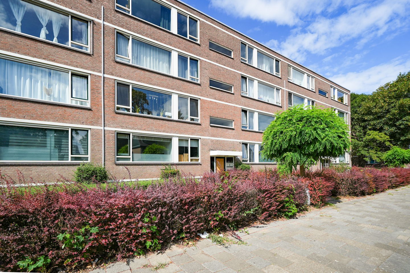 Foto 19 van Bredenoord 181