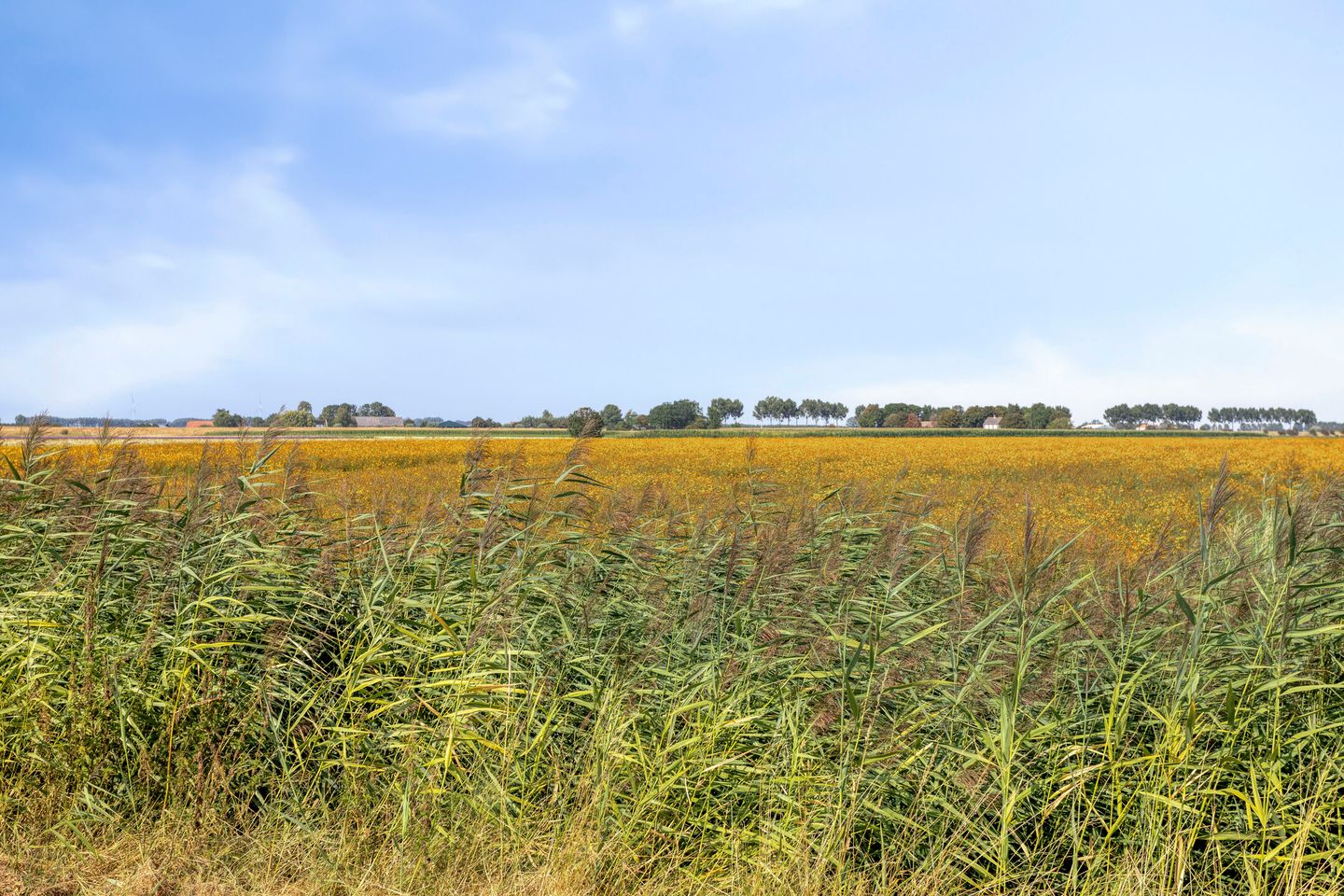 Photo 49 of Provincialeweg 11
