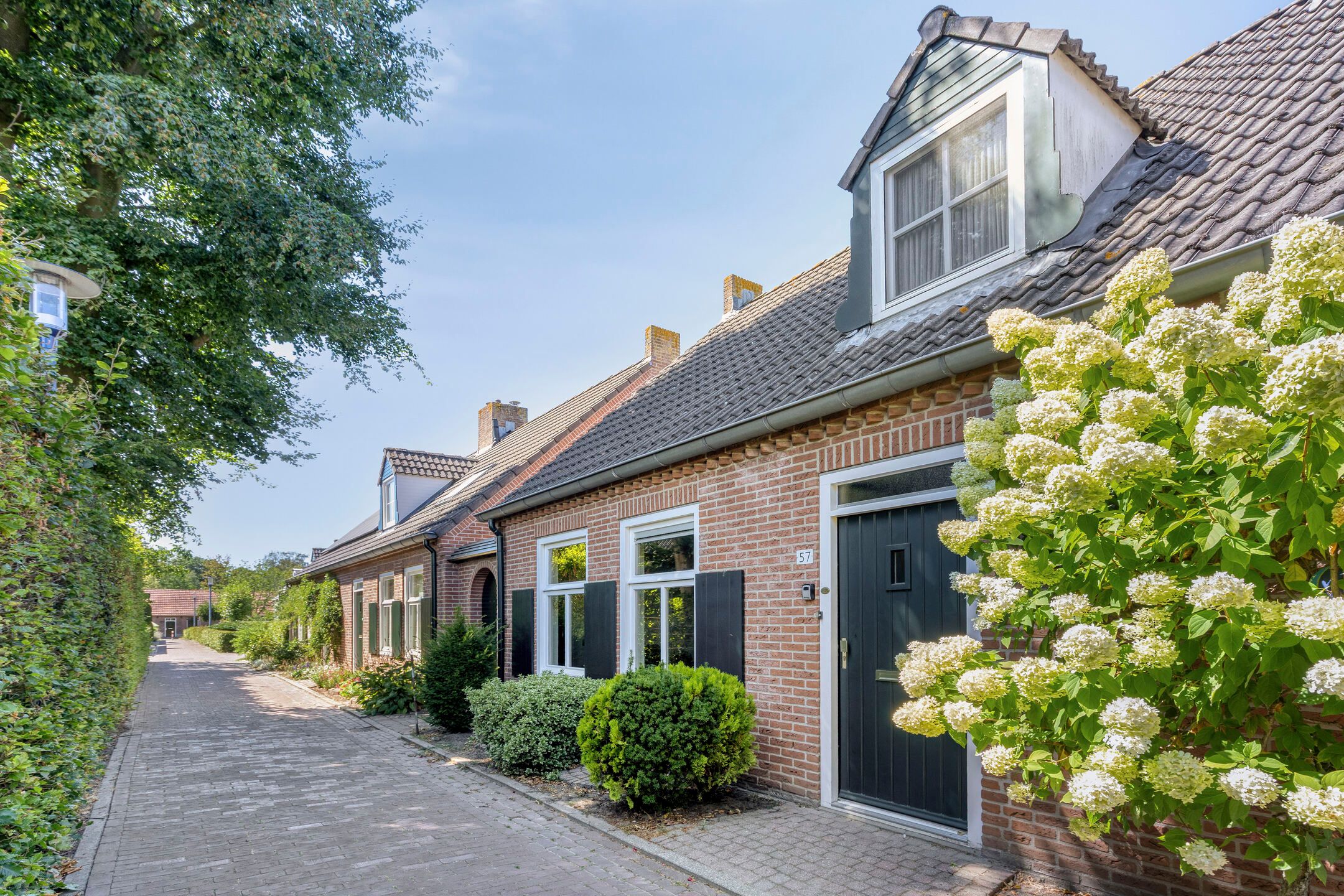Schoorswinkel 57