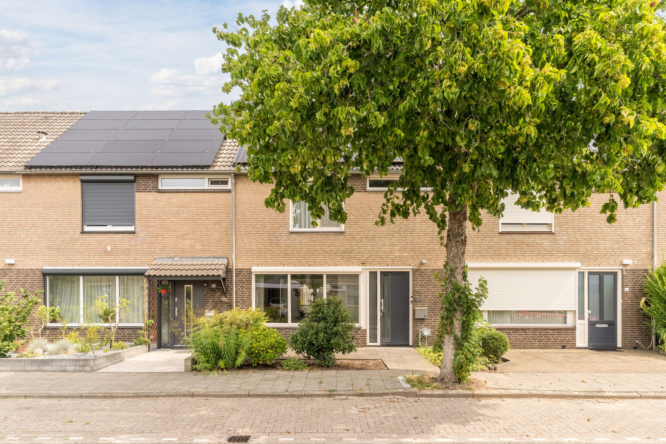 Wolgastraat 24