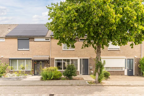 Wolgastraat thumbnail