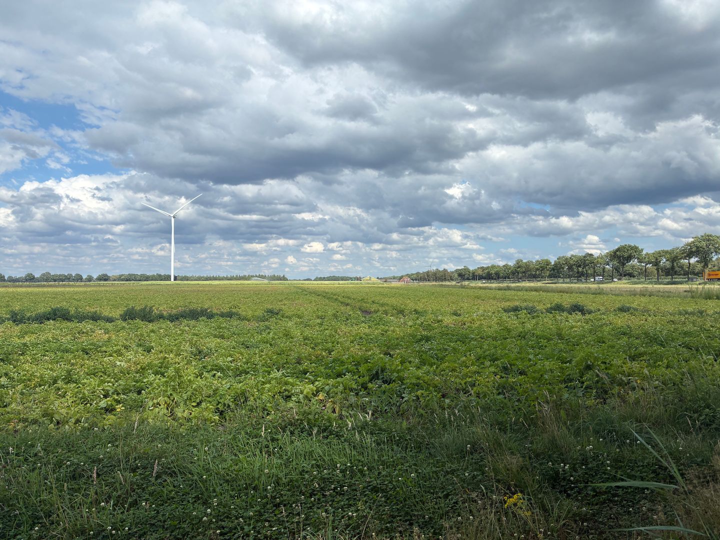 Bekijk foto 2 van Venloseweg