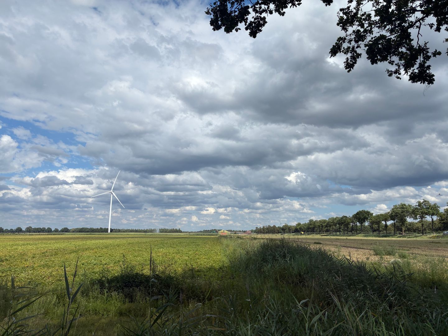 Bekijk foto 4 van Venloseweg