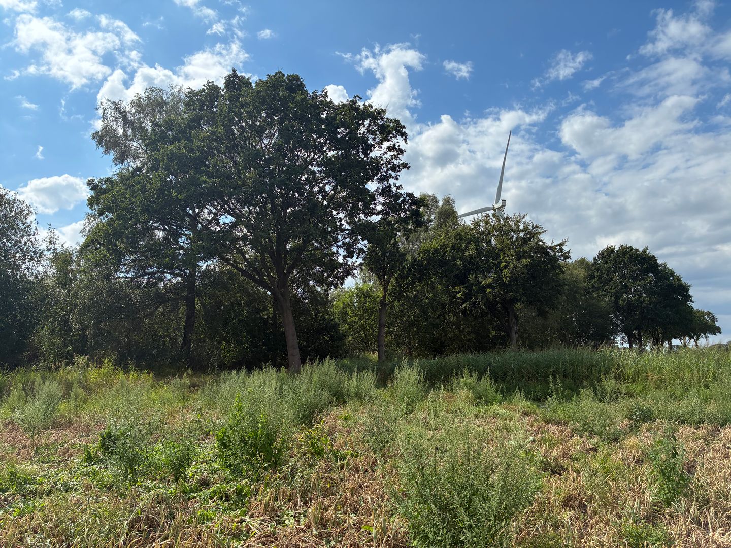 Bekijk foto 5 van Venloseweg