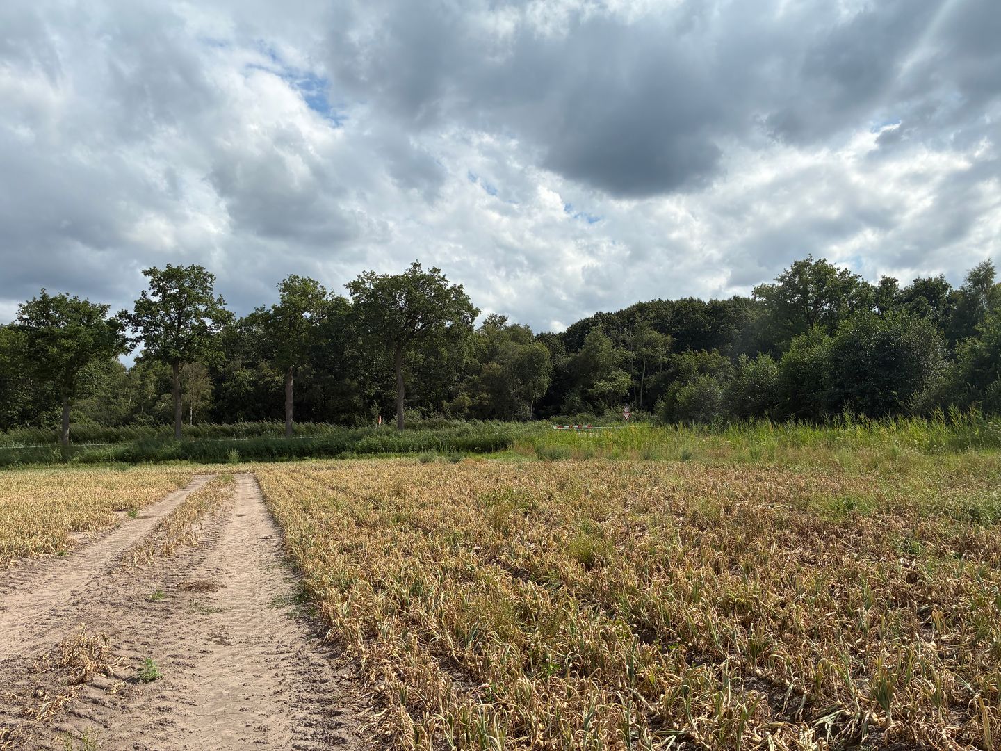 Venloseweg - Ospel - Afbeelding 7