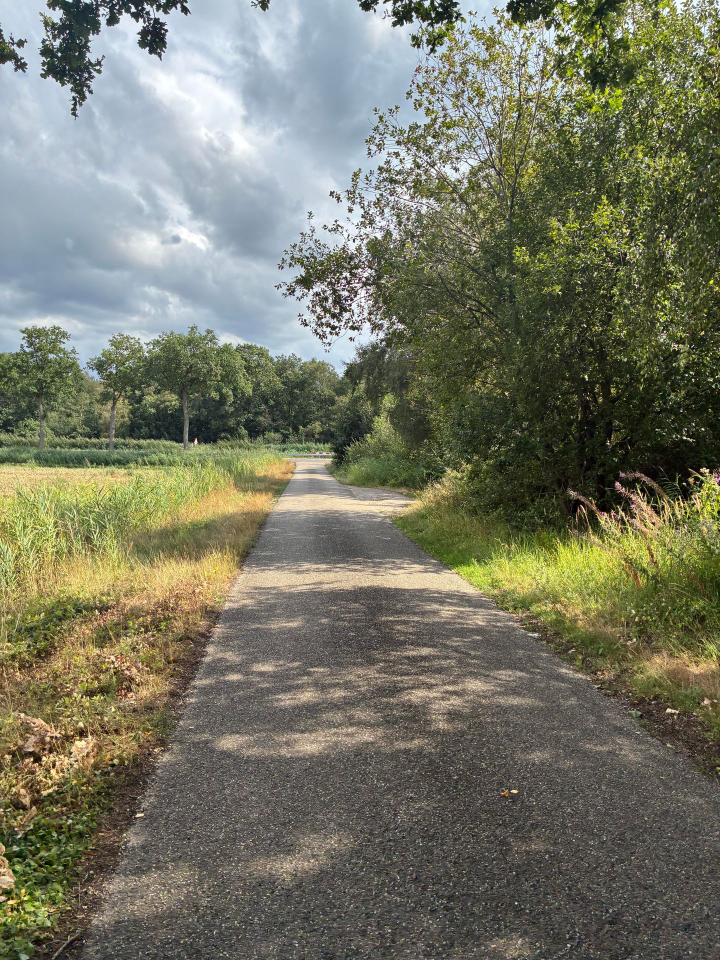 Bekijk foto 3 van Venloseweg