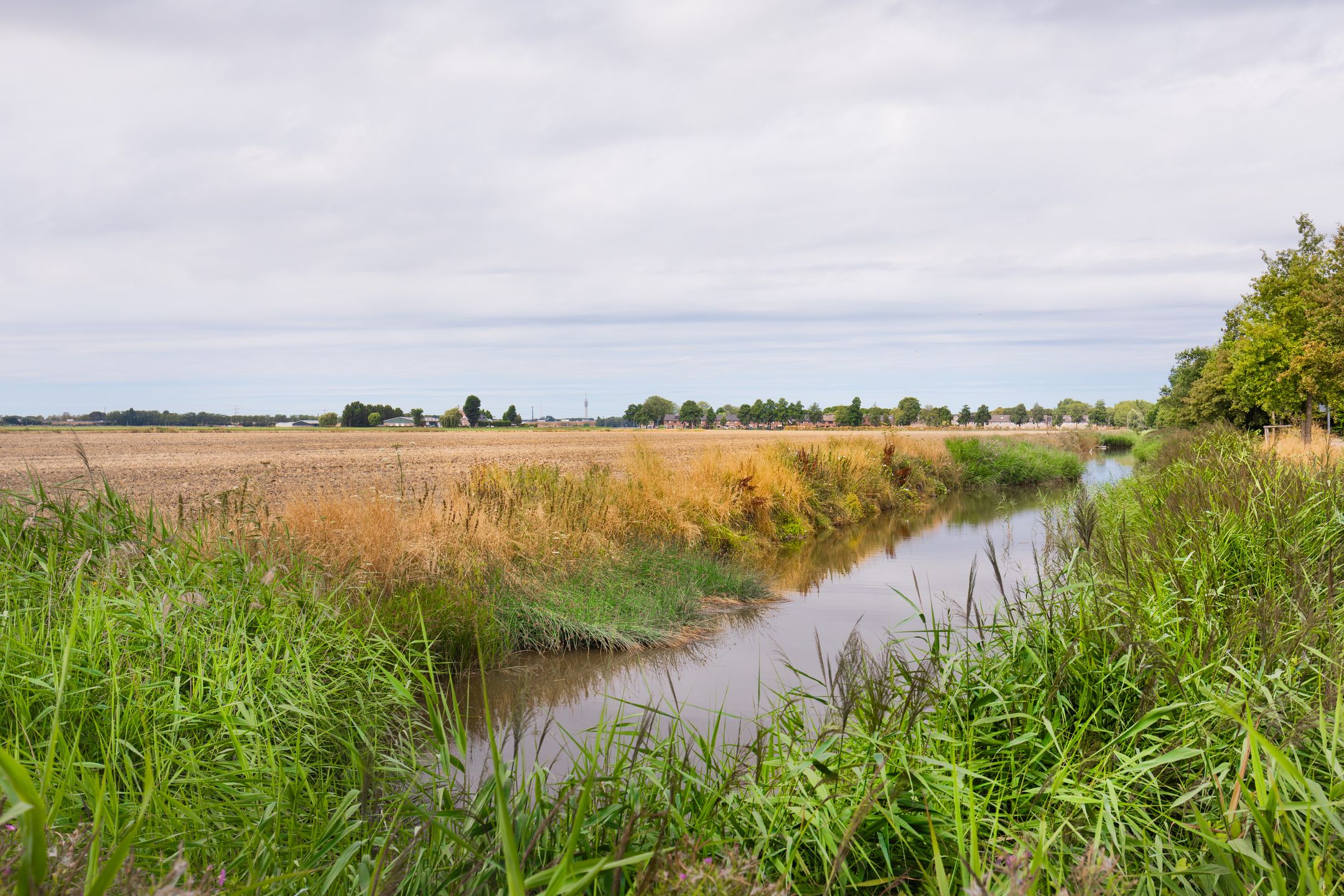 Photo 33 of Dennenlaan 181