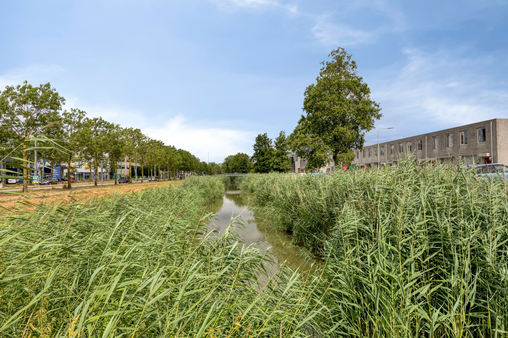 Photo 33 of Dr. Willem Dreessingel 275