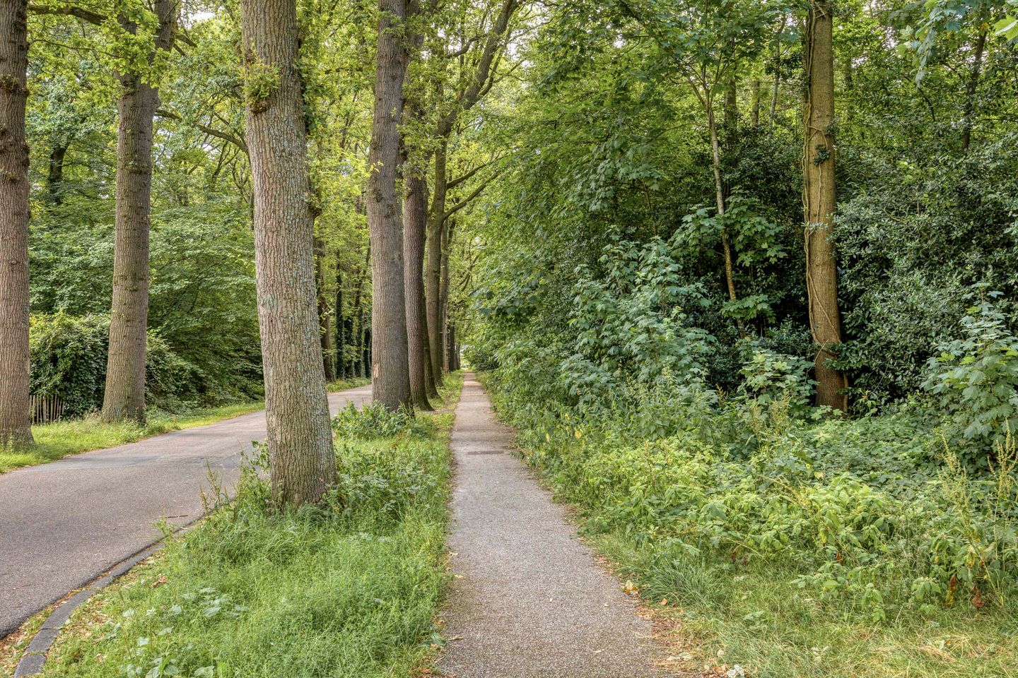 Foto 49 van Duinkampen 9