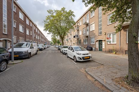 Madeliefstraat thumbnail