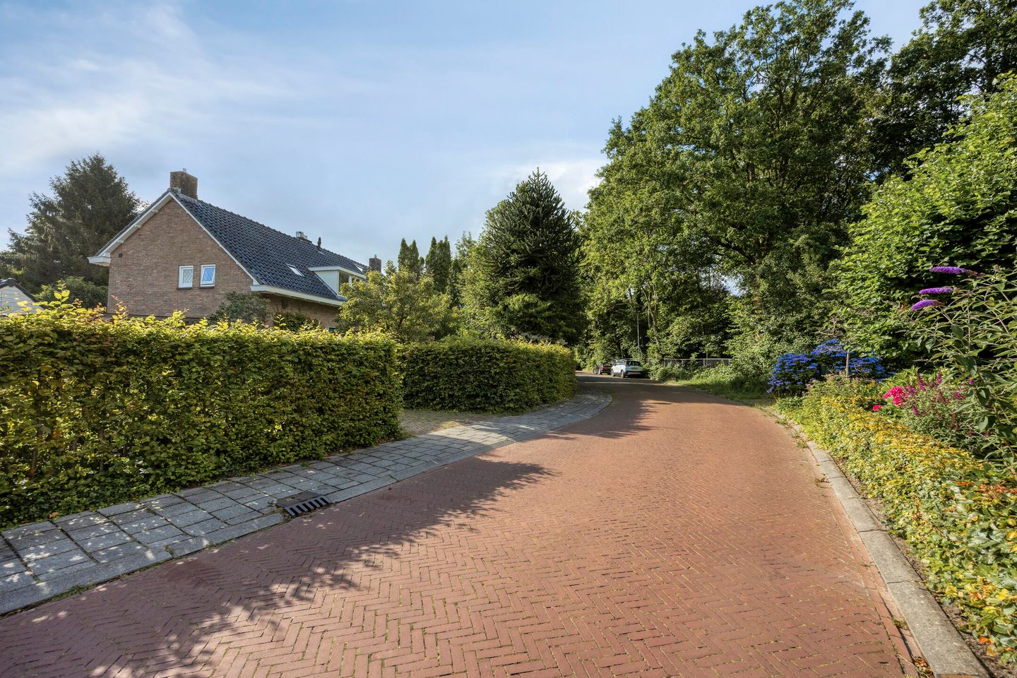 Foto 10 van Duinkampen 9