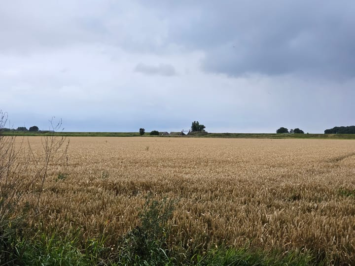 Foto 3 van Reiderwolderpolder 27