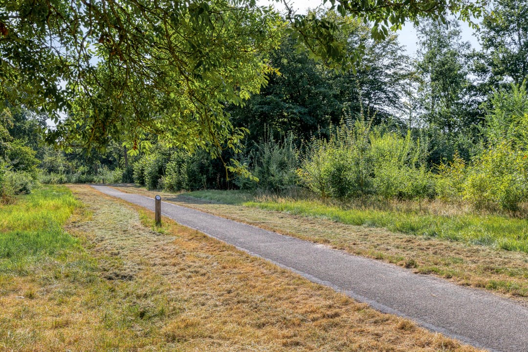Foto 41 van Spanderswoudstraat 1