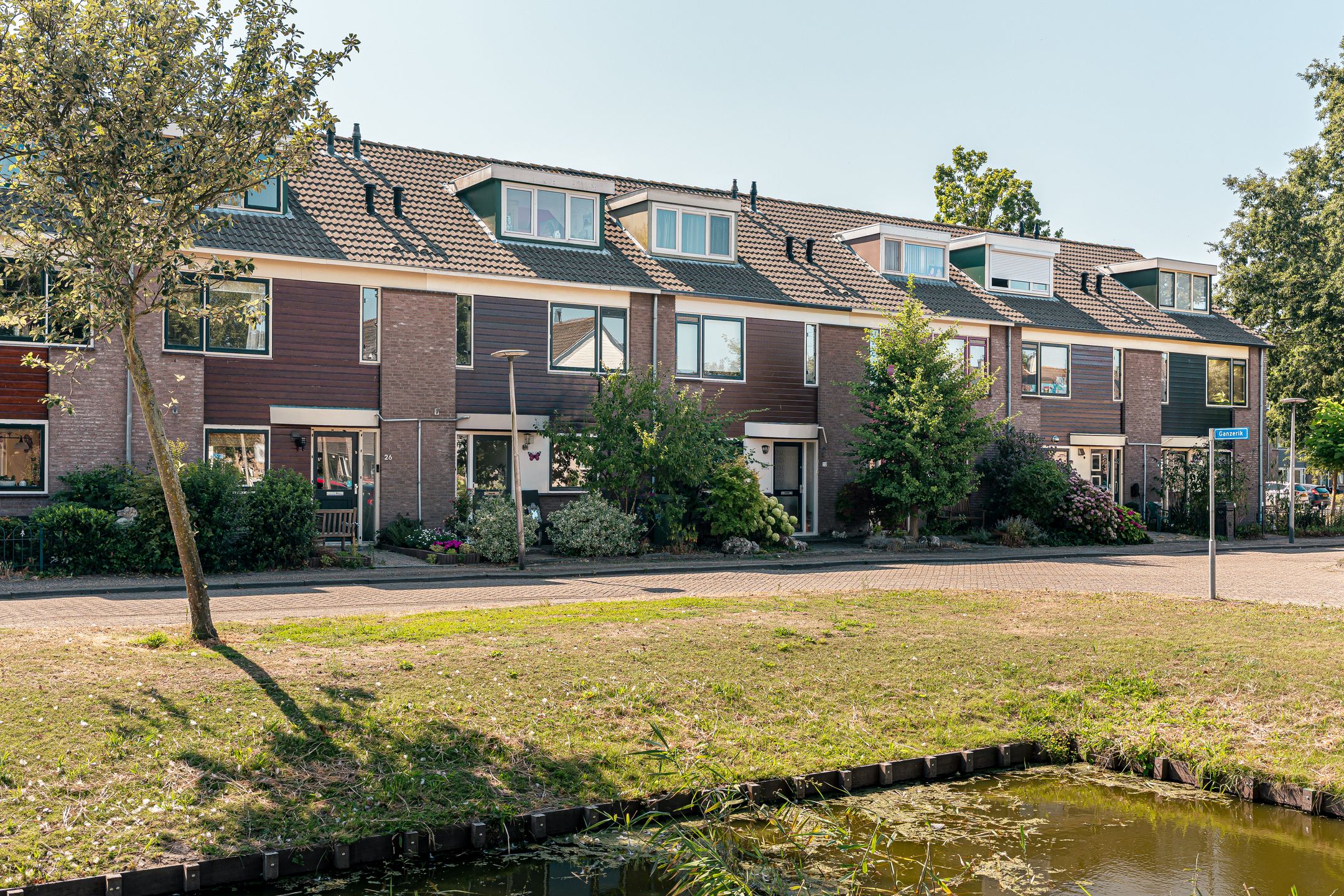 Zegge 24 