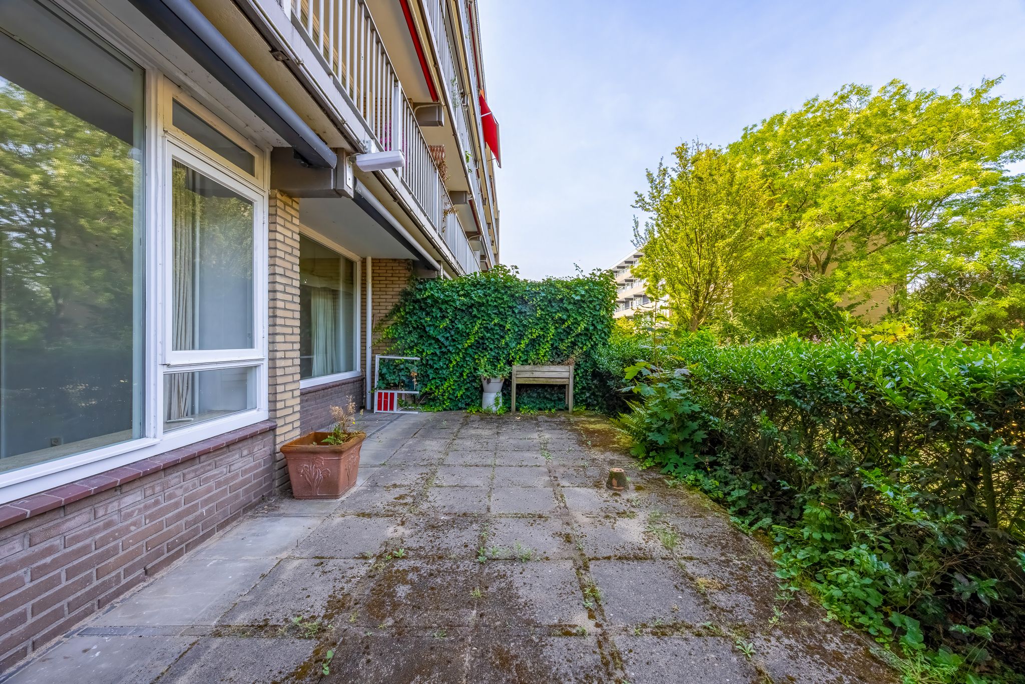 Foto 15 van Lijsterlaan 169