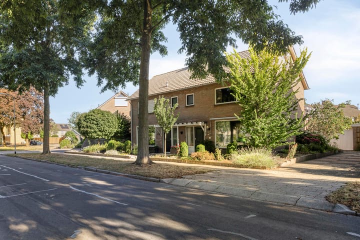 Photo 3 of Vogelzang 16