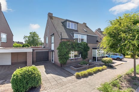 Iepenlaan thumbnail