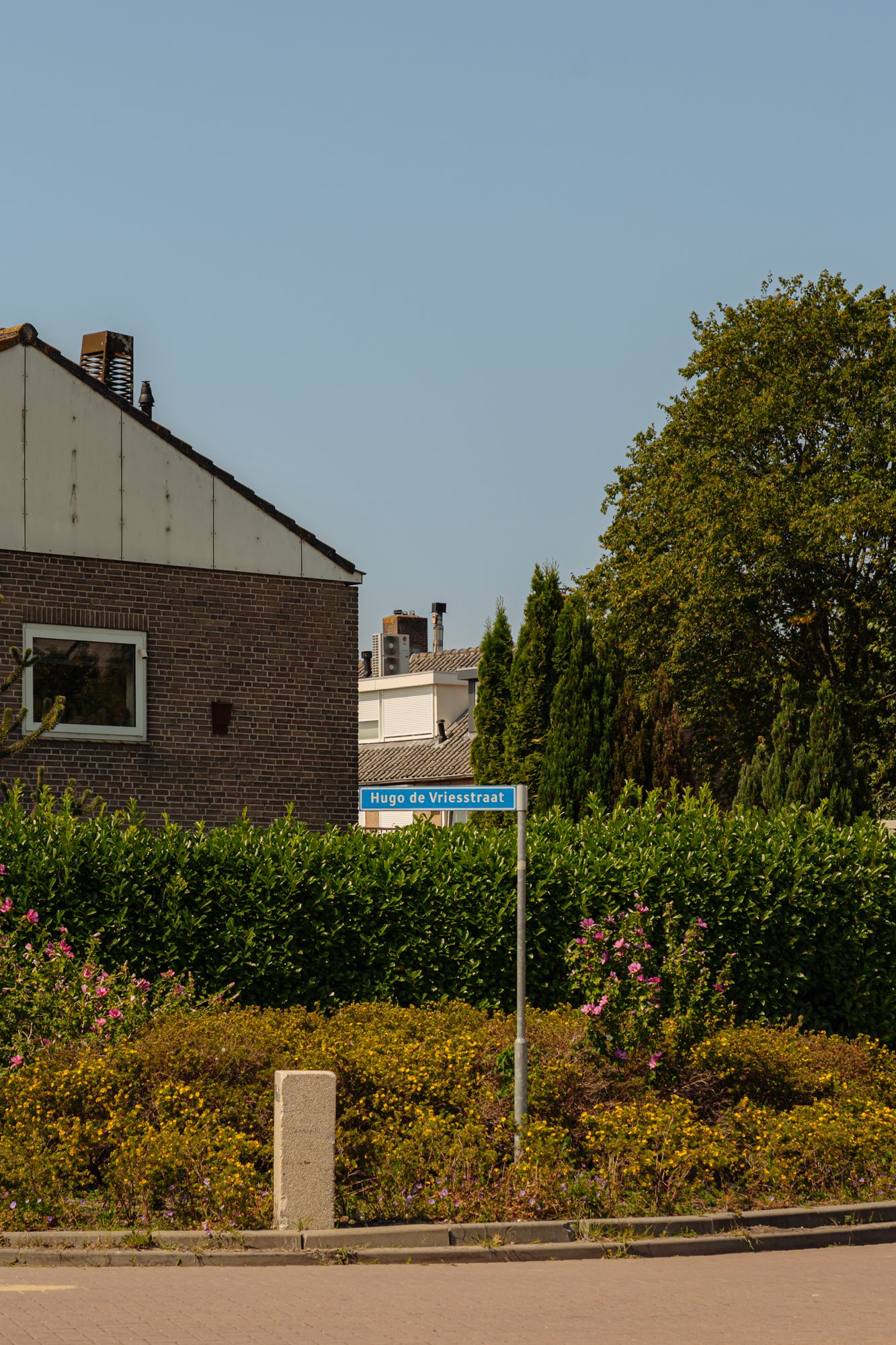 Foto 40 van Hugo de Vriesstraat 11