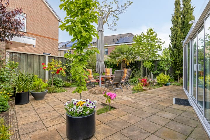 Foto 4 van De Rotsduif 33
