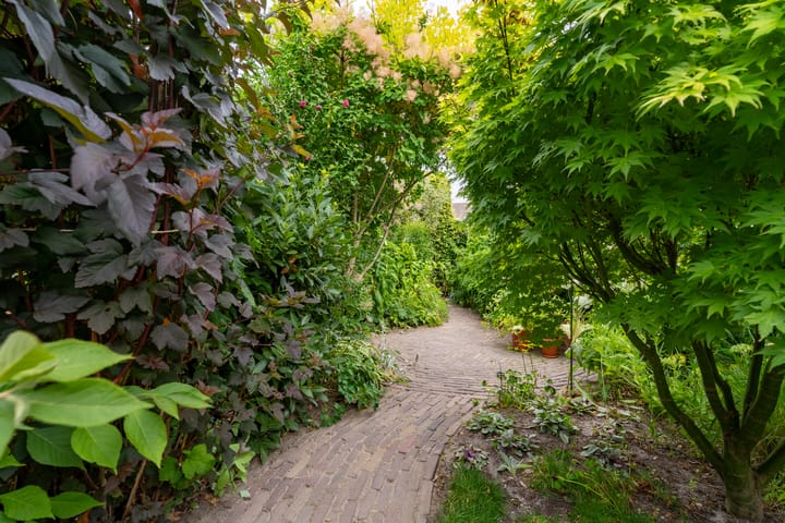 Tussenwoning te koop: Mostheuvelstraat 63, Tilburg