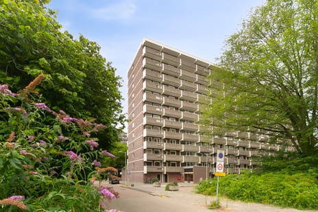 Jisperveldstraat thumbnail