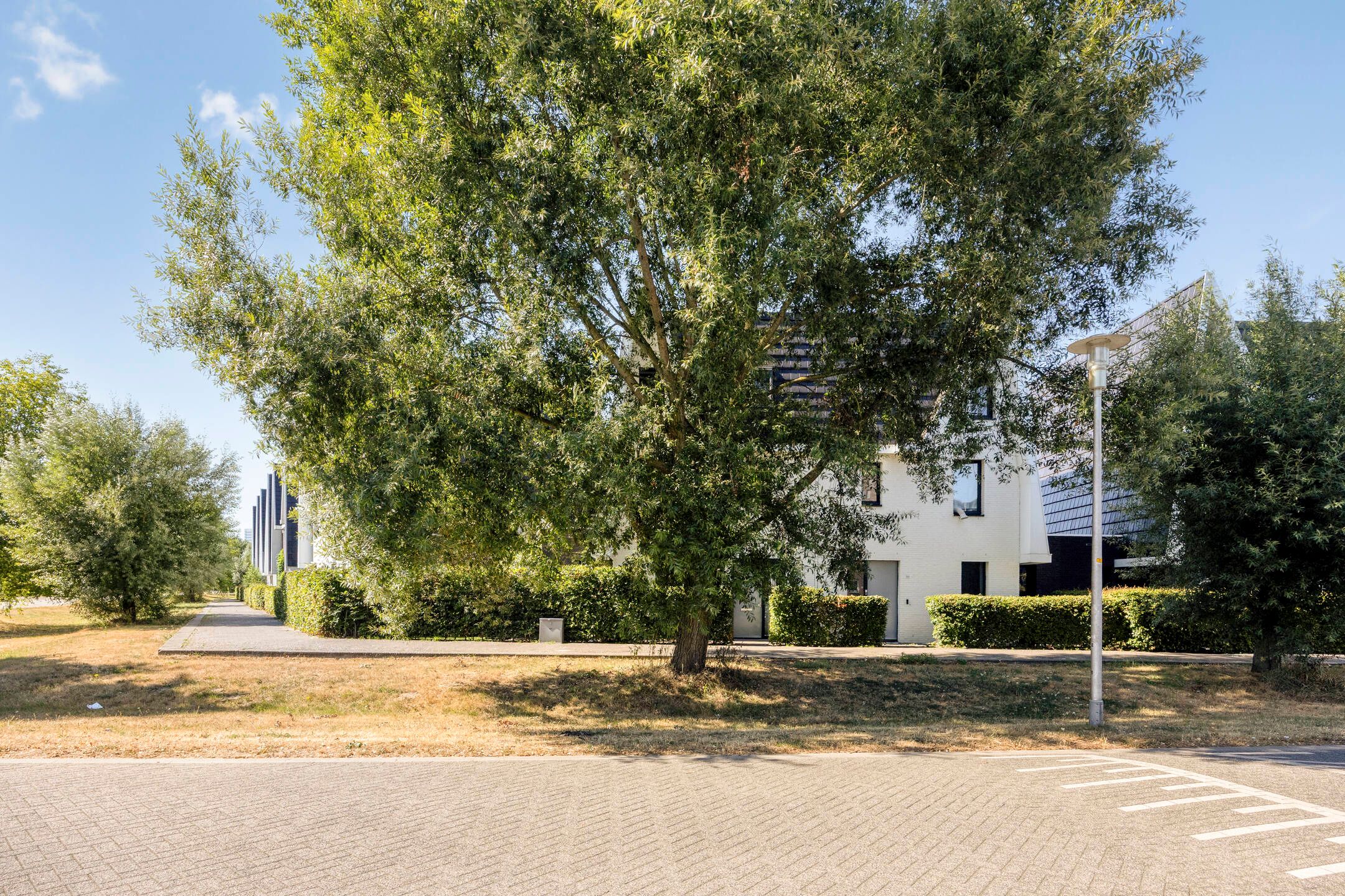Foto 36 van Boomblauwtje 48