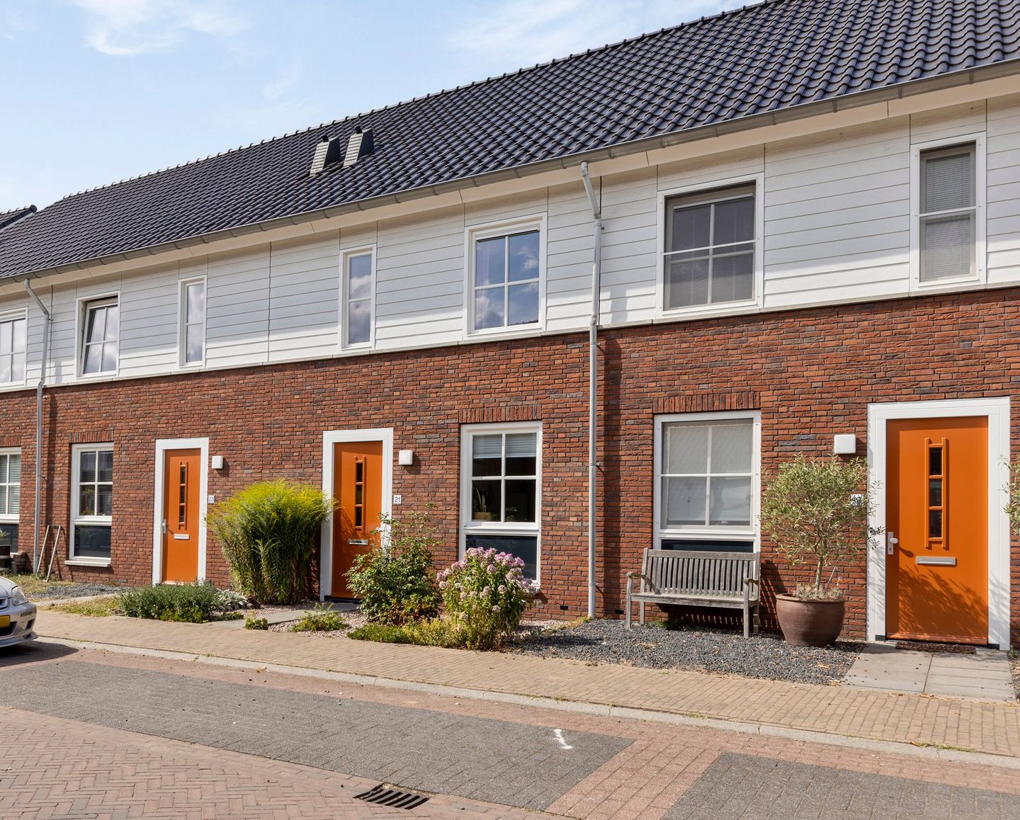 Foto 1 van Knelisroos 21