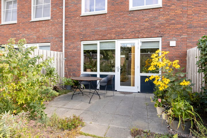 Foto 4 van Knelisroos 21