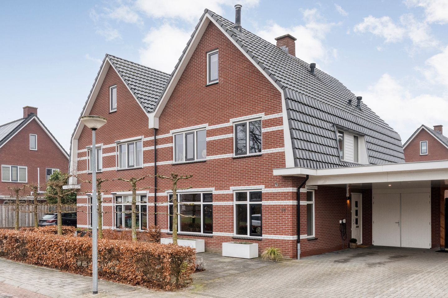 Foto 1 van Moesdistel 11
