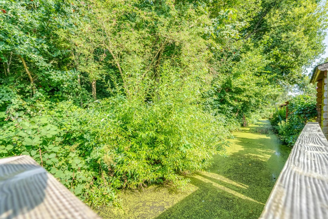Foto 43 van M.L. Kingstraat 65