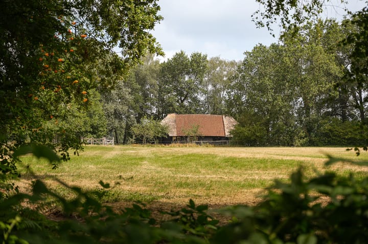Vrijstaande woning te koop: Breeschoten 3, Scherpenzeel (Ge)