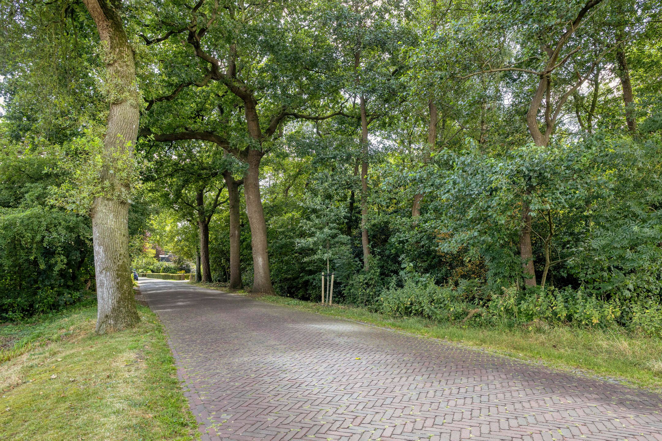 Foto 66 van Noorderend 22
