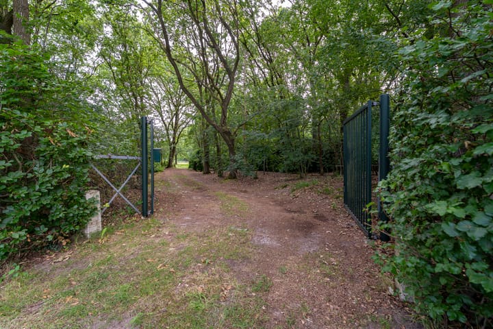 Foto 2 van Bernsehoef 6-A