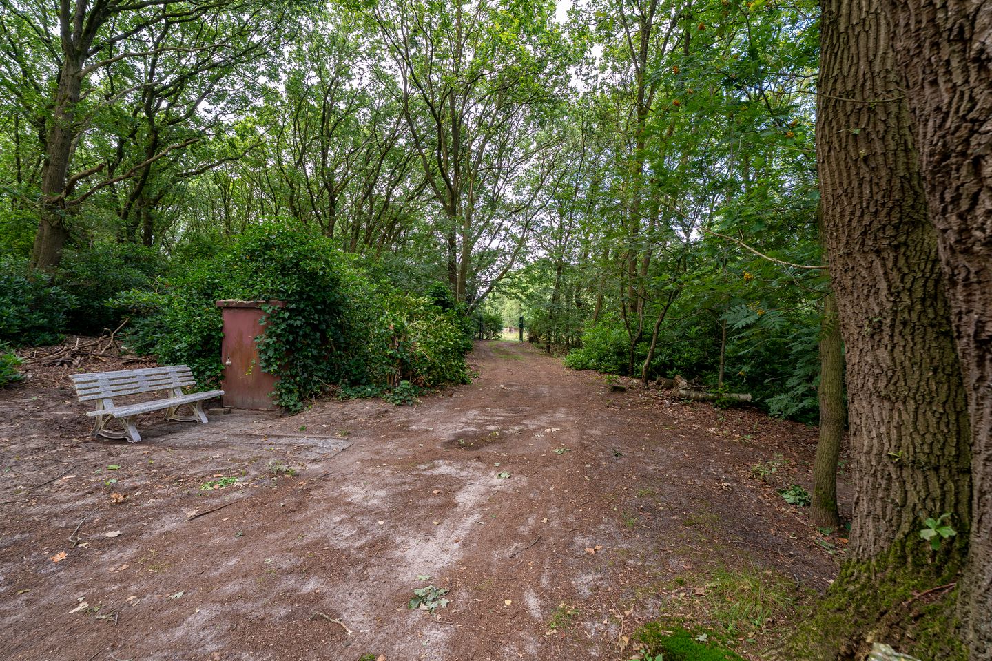 Foto 4 van Bernsehoef 6-A
