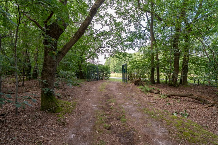 Foto 3 van Bernsehoef 6-A