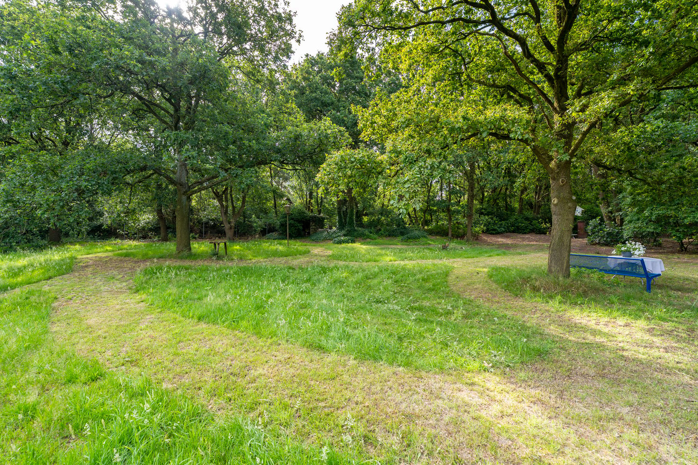 Foto 40 van Bernsehoef 6-A