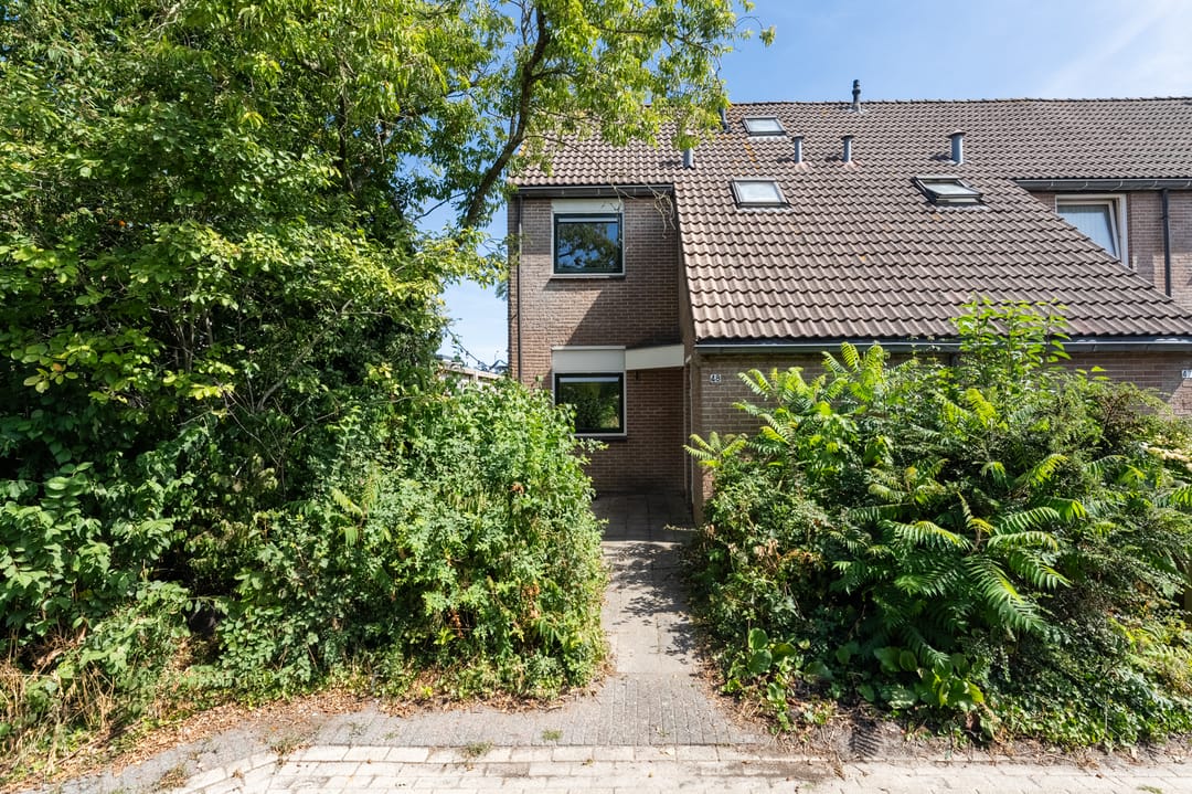 Photo 8 of Pinksterbloem 48