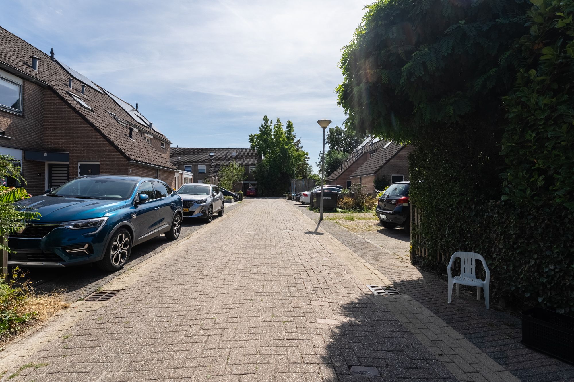 Photo 9 of Pinksterbloem 48