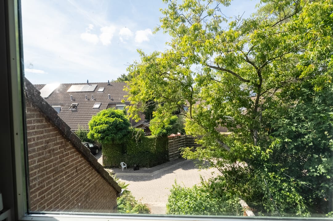 Photo 37 of Pinksterbloem 48