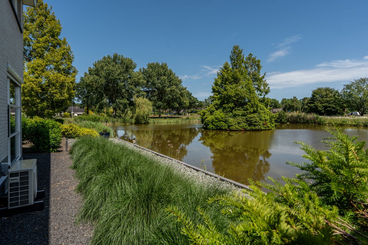 Foto 4 van Knobbelzwaan 2