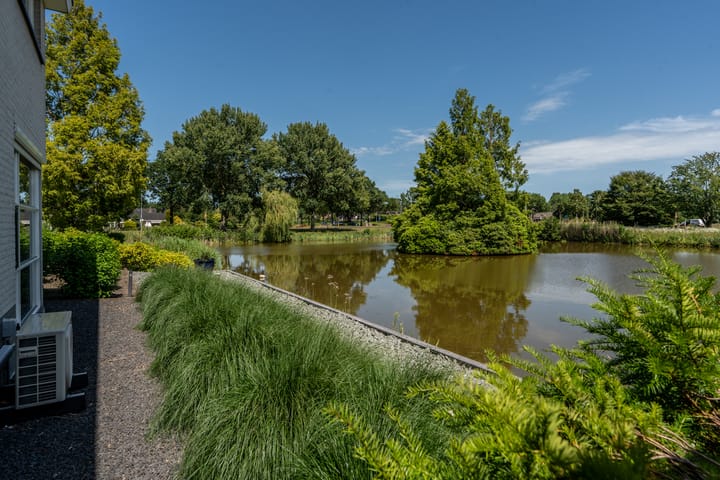 Foto 4 van Knobbelzwaan 2