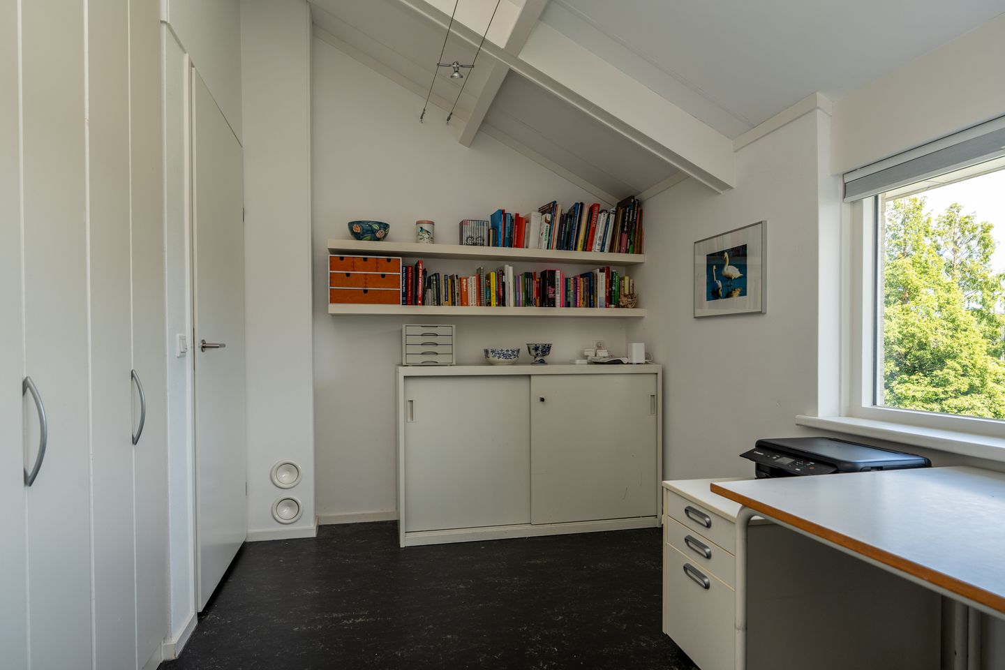 Foto 44 van Knobbelzwaan 2