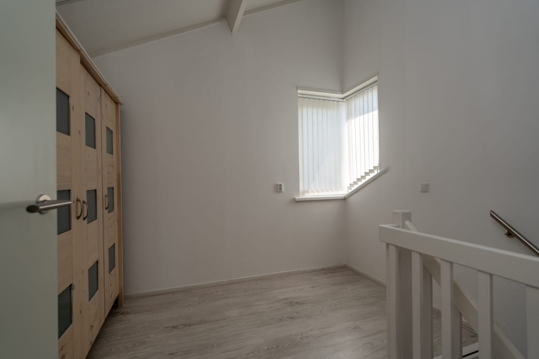 Foto 41 van Knobbelzwaan 2