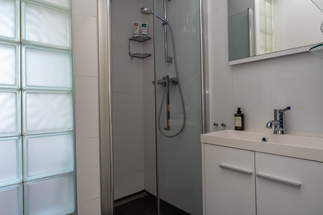 Foto 41 van Knobbelzwaan 2