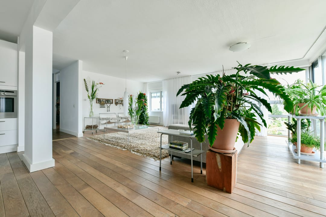 Photo 13 of Rietlandpark 239