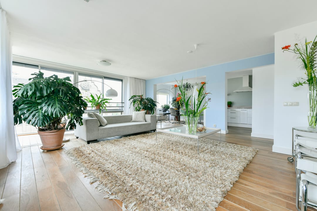 Photo 7 of Rietlandpark 239