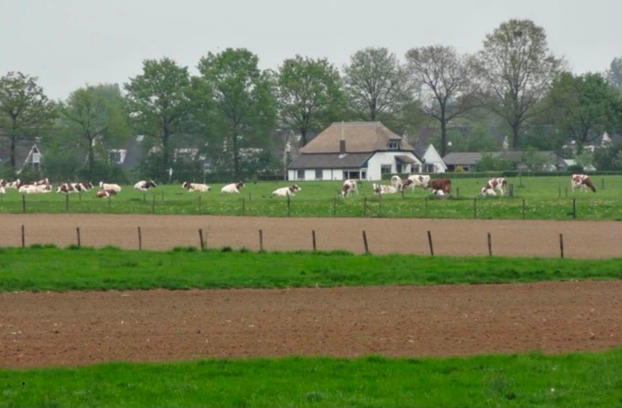 Photo 44 of Het Klooster 18