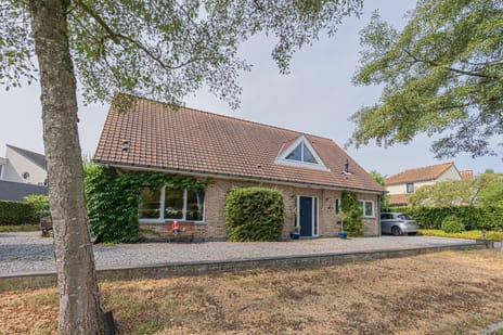Noordoordplaat thumbnail