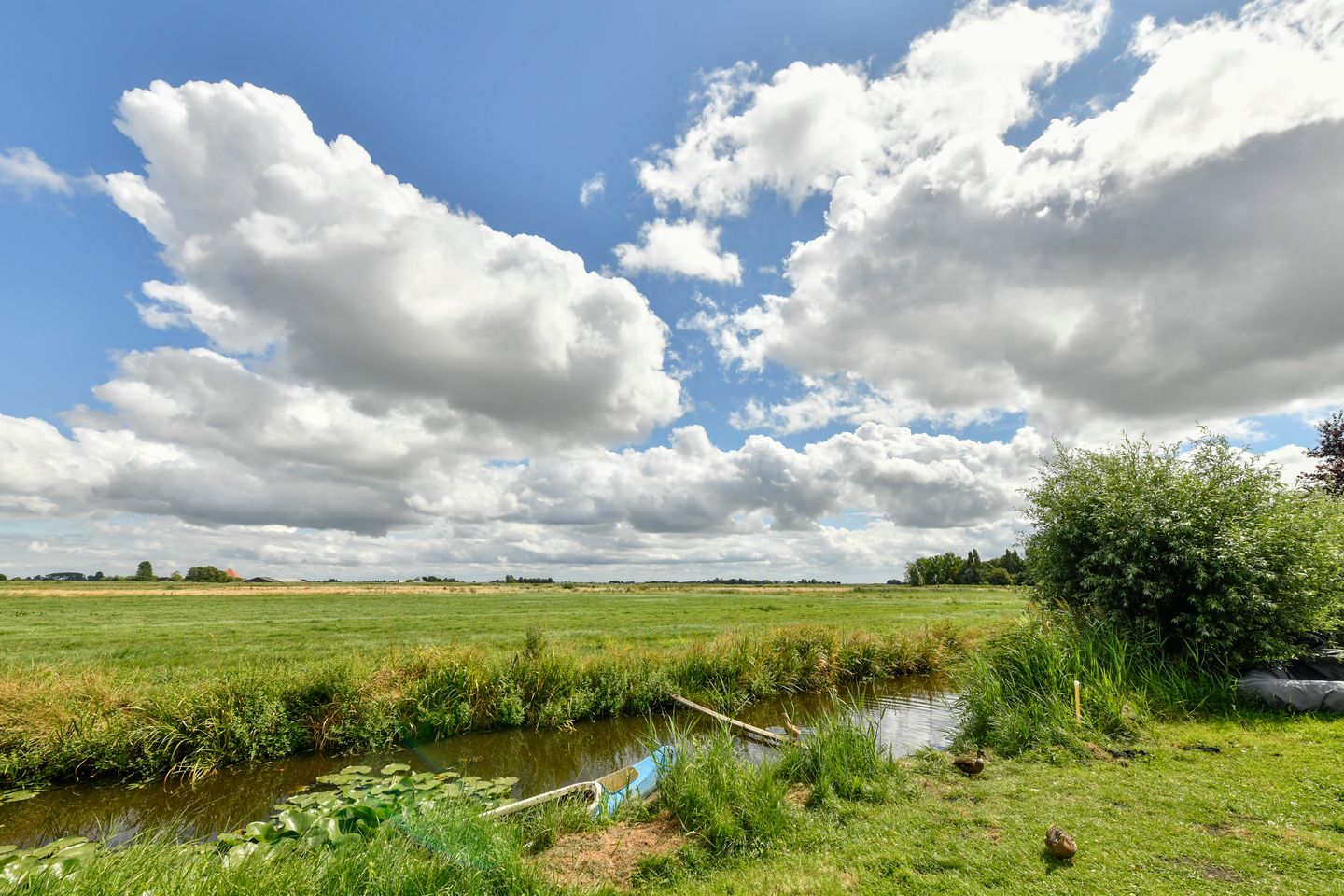 Foto 40 van Heems Weer 16