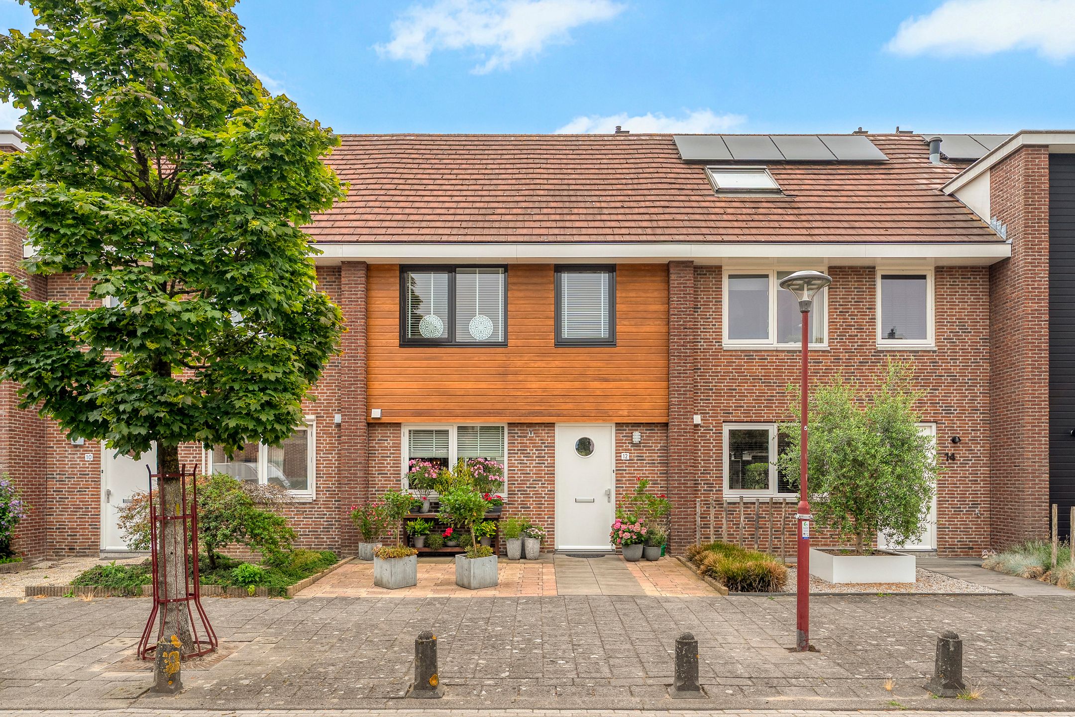 Gele lis 12